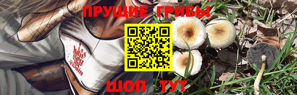 Псилоцибиновые грибы GOLDEN TEACHER Красноуфимск