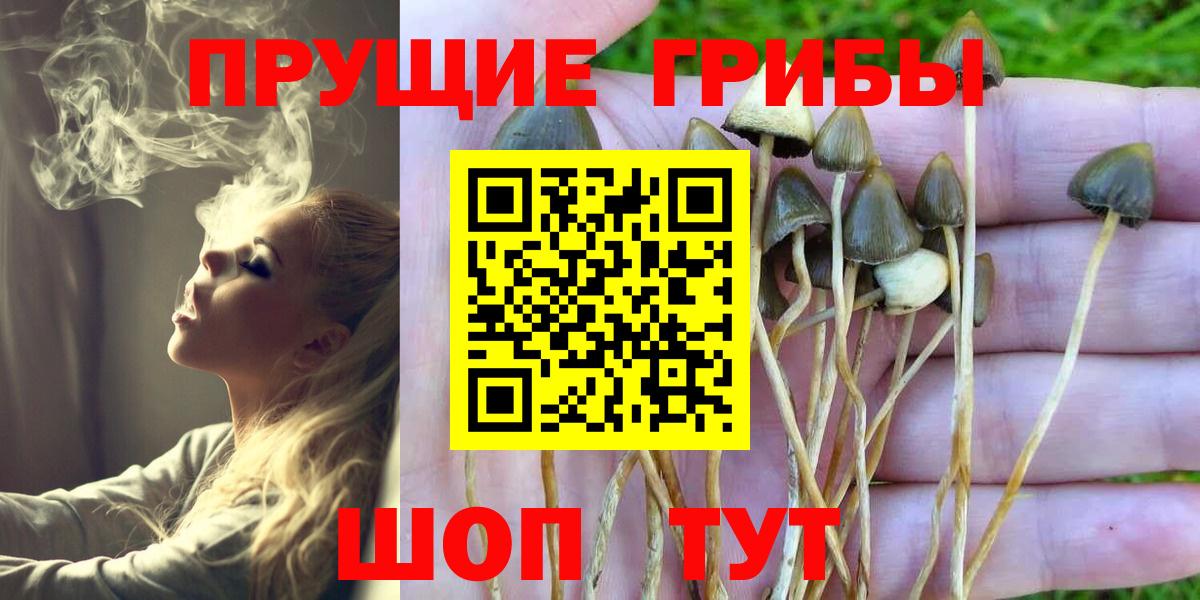 Галлюциногенные грибы мицелий  Галлюциногенные грибы Cubensis  Вход с VPN  Красноуфимск 
